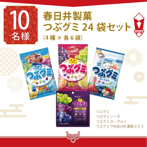 春日井製菓
つぶグミ24袋セット(4種×各6袋)