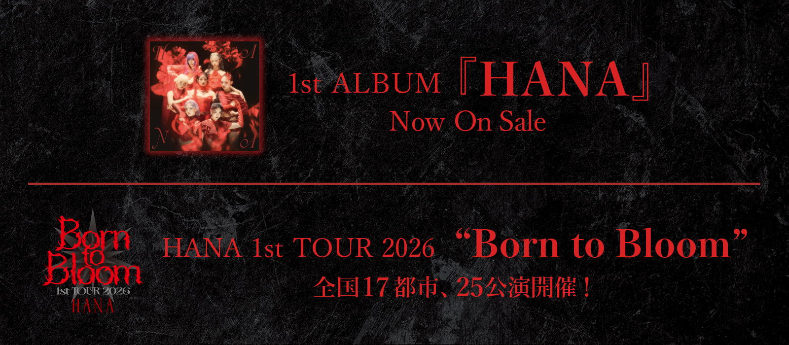 HANAリリース情報画像