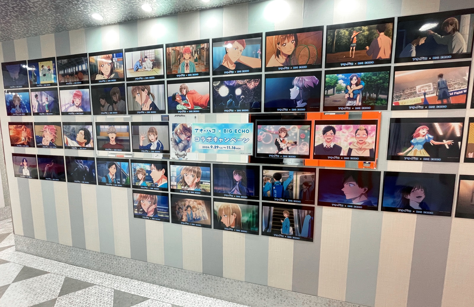 アオのハコ 場面写展示イメージ